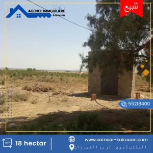 achat terrain agricole Kairoua