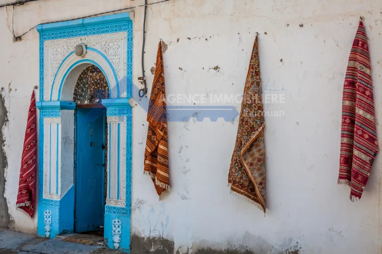 vendre-terrain-a-kairouan-samsar