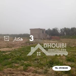 terrain-agricole-a-vendre-a-kairouan