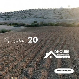 terrain-agricole-a-vendre-kairouan