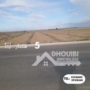 5-hectar-terrain-agricole-a-vendre-a-kairouan-11