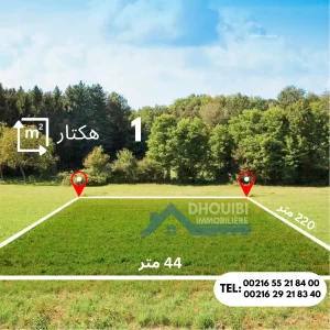 1-hectar-a-vendre-kairouan