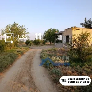 ferme-de-11-hectar-a-vendre-kairouan