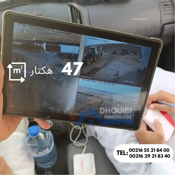 47-hectar-titre-bleu-individuel-a-vendre-a-kairouan