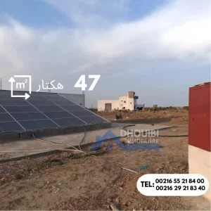 47-hectar-titre-bleu-individuel-a-vendre-a-kairouan