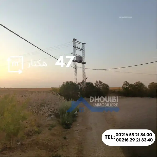 47-hectar-titre-bleu-individuel-a-vendre-a-kairouan
