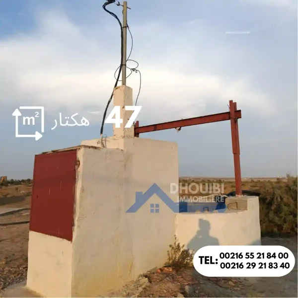 47-hectar-titre-bleu-individuel-a-vendre-a-kairouan