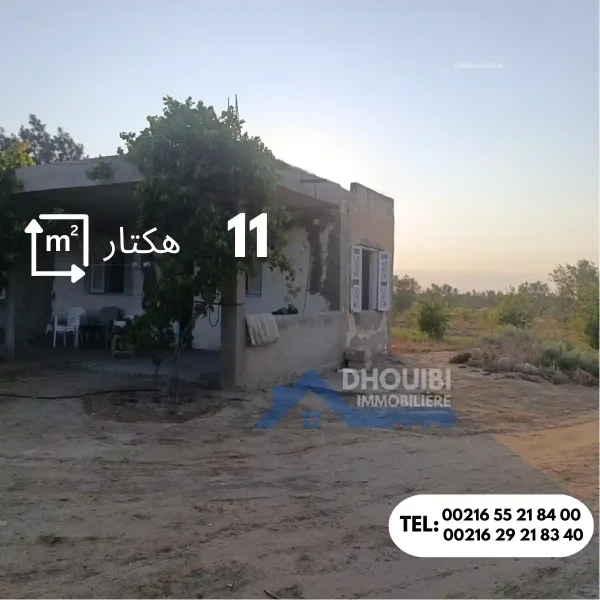 ferme-de-11-hectar-a-vendre-kairouan