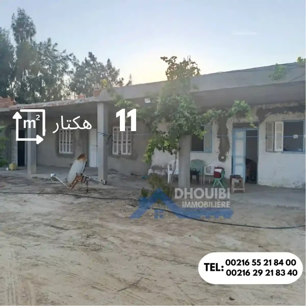 ferme-de-11-hectar-a-vendre-kairouan