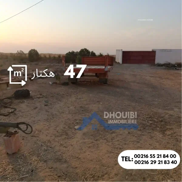 47-hectar-titre-bleu-individuel-a-vendre-a-kairouan