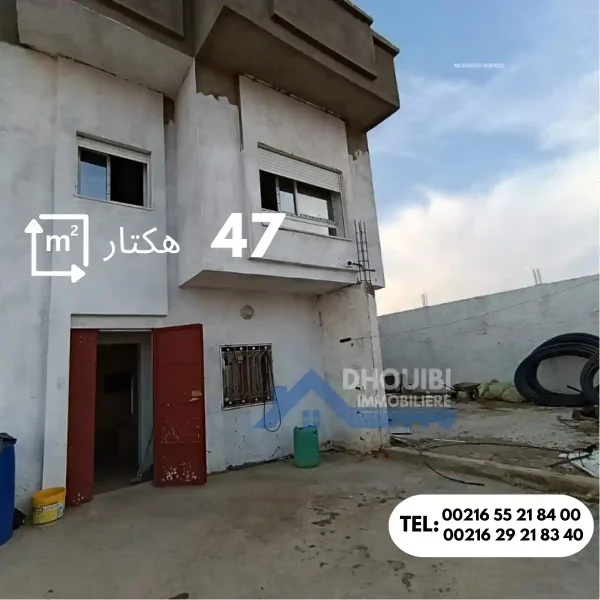 47-hectar-titre-bleu-individuel-a-vendre-a-kairouan