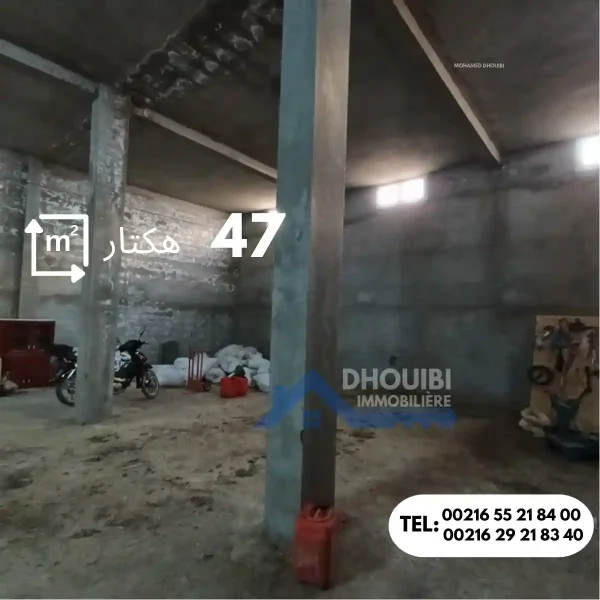 47-hectar-titre-bleu-individuel-a-vendre-a-kairouan