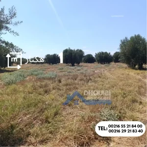 1-hectar-a-vendre-kairouan