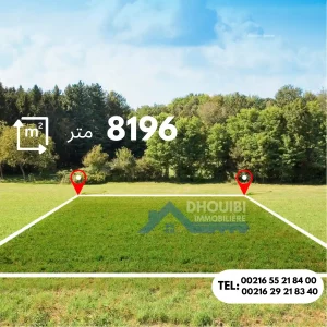 8196-metre-a-vendre-titre-bleu-individuel
