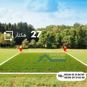 27-hectar-a-vendre-a-kairouan