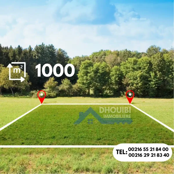 tri9-sousse-1000-metre-derriere-kioske-sayari