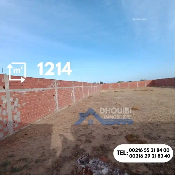 Raggada 1214 metre titre bleu individuel - Image 2