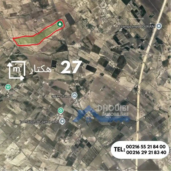 27-hectar-a-vendre-a-kairouan