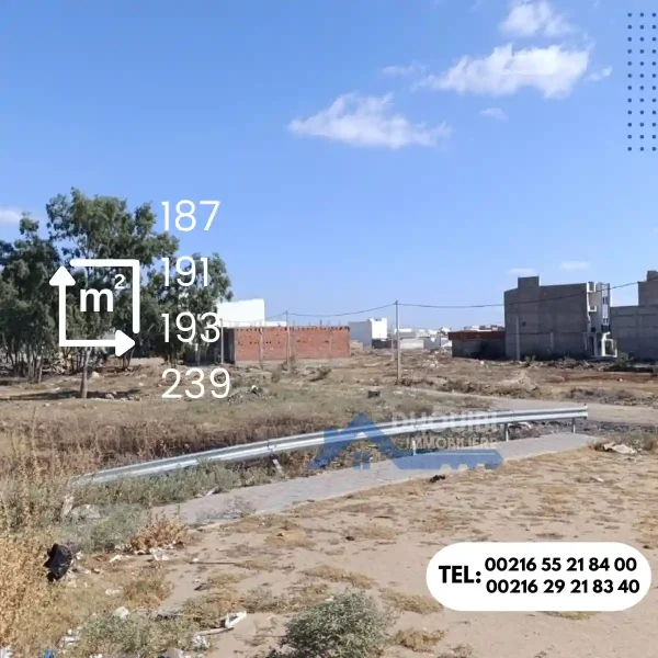 Mansoura : terrain residentiel ta9sim 3roussi - Image 4