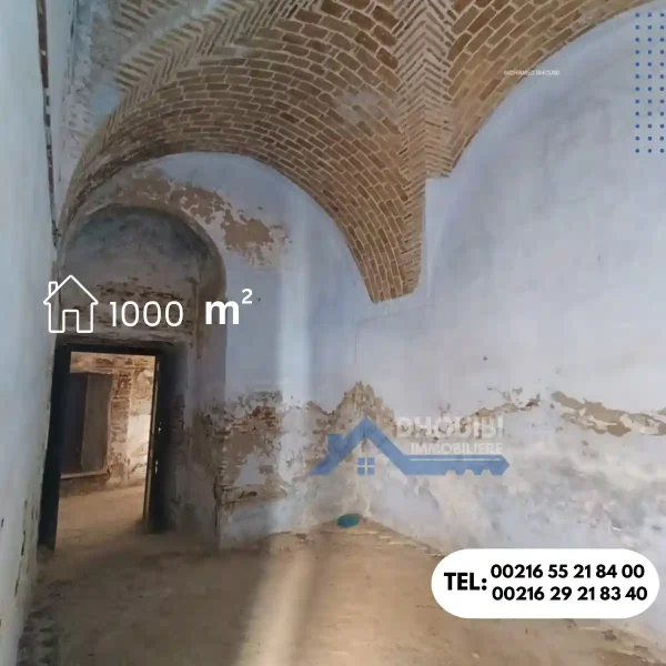bled-3arbi-maison-traditionelle-de-1000-metre