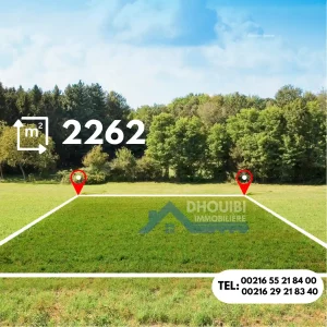 delle3ya-2262-metre-titre-bleu-individuel