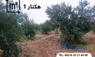 WhatsApp-Image-2026-07-20-at-2.40.29-AM